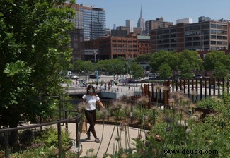 Der schwimmende Inselpark, der New Yorks Menschen und Lebensräumen hilft 