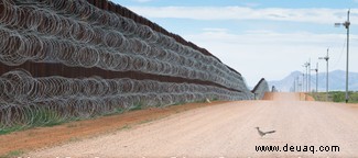 Roadrunner, der von Trumps Grenzmauer gestoppt wurde, wird Vogelfotograf des Jahres 