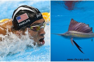 Animal Olympics:9 Arten, die menschliche Weltrekorde brechen könnten 