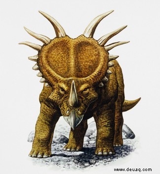 Ein gigantischer Führer zu den mächtigen Triceratops 