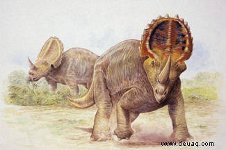 Ein gigantischer Führer zu den mächtigen Triceratops 