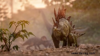 Stegosaurus:Die rätselhafte Ikone des Jura 