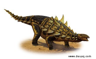 Stegosaurus:Die rätselhafte Ikone des Jura 