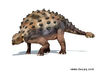 Stegosaurus:Die rätselhafte Ikone des Jura 