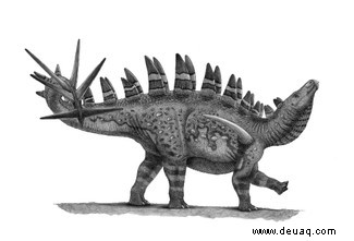 Stegosaurus:Die rätselhafte Ikone des Jura 