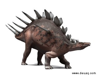 Stegosaurus:Die rätselhafte Ikone des Jura 