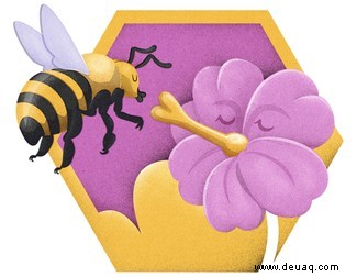 Wie machen Bienen Honig? 