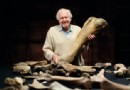 Der Rutland-Ichthyosaurier und 4 weitere unglaubliche britische Fossilien 