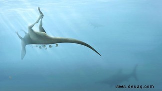 Der Rutland-Ichthyosaurier und 4 weitere unglaubliche britische Fossilien 