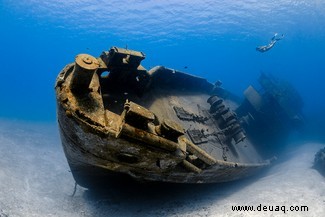 Alles, was Sie brauchen, ist Liebe:Die Gewinner des Unterwasserfotografen des Jahres 