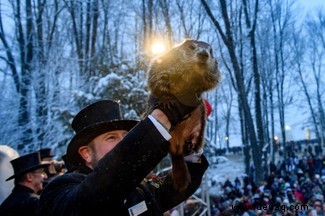 Tag des Murmeltiers:Bei der Entstehung der pummeligen Nagetiere geht es mehr um die Liebe als um den Wechsel der Jahreszeiten 