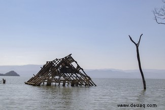 Ein Menschenrecht auf Natur:Die Menschen verklagen Regierungen wegen Umweltschäden 