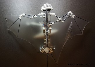 Die bioinspirierten Roboter, die verdeckt das Verhalten von Tieren untersuchen 