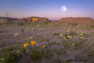 Flower Moon 2022:Wie man den Vollmond im Mai in Großbritannien sieht 