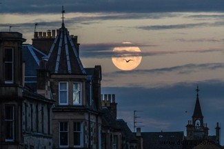 In Bildern:Der Super Pink Moon 2020 erleuchtet den Aprilhimmel 