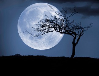 Wie sehe ich den seltenen blauen Halloween-Mond? 