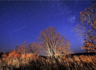 Wie kann ich den Orioniden-Meteorschauer von heute Nacht sehen? 