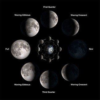 The Moon:Lustige Fakten und Antworten auf Ihre Fragen 