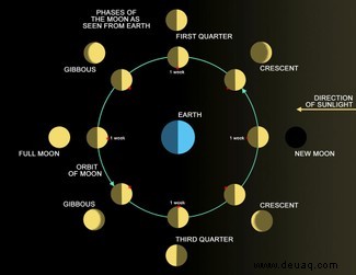 Wann ist der nächste Vollmond? Ihr Leitfaden zur Mondastronomie 