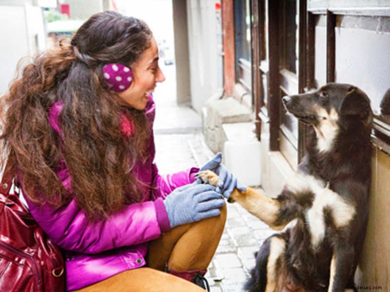 Streuner zu adoptieren ist eine Quelle der Liebe und Zuneigung 