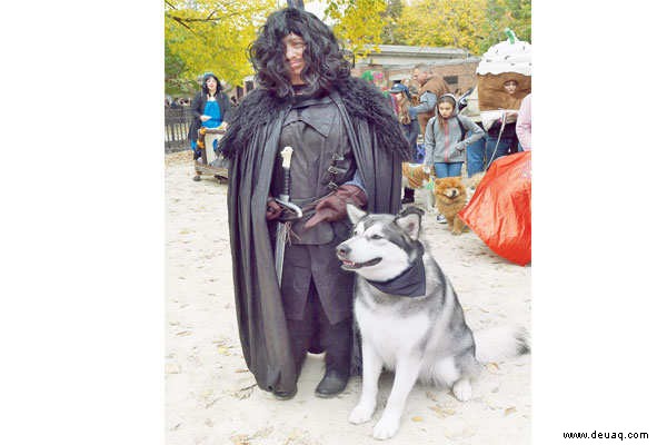 Halloween geht dieses Jahr vor die Hunde ... buchstäblich! 