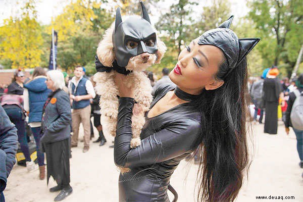 Halloween geht dieses Jahr vor die Hunde ... buchstäblich! 