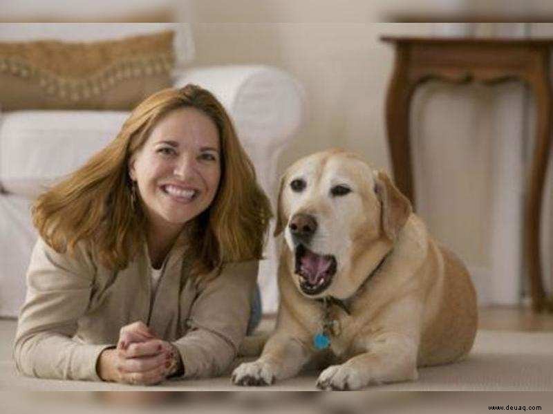 Ein neues Medikament könnte Ihre Hunde länger leben lassen 