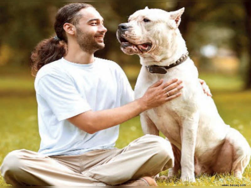 Warum Ihr Hund nicht anders ist als ein 2-jähriges Kind 