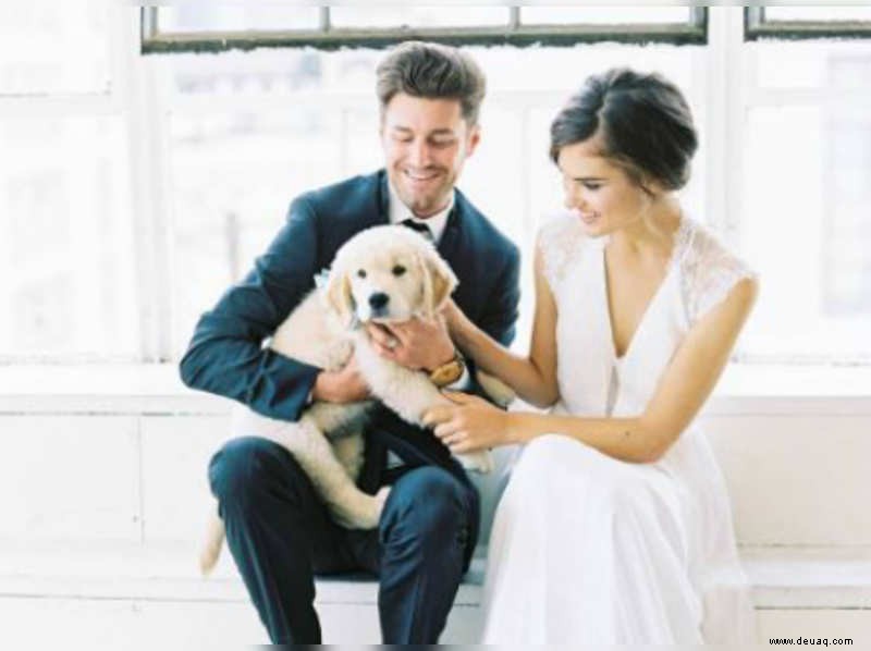 15 Mal haben Hunde bei einer Hochzeit die ganze Aufmerksamkeit auf sich gezogen 