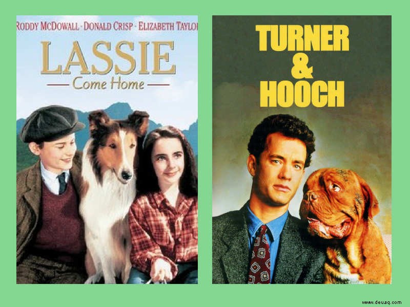 Die 10 besten Hundefilme aller Zeiten 