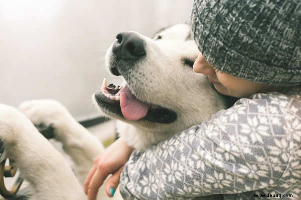 Ein pelziger Valentinsgruß ist der beste Valentinsgruß 