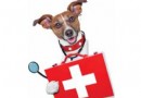 Erste-Hilfe-Tipps für Hunde 