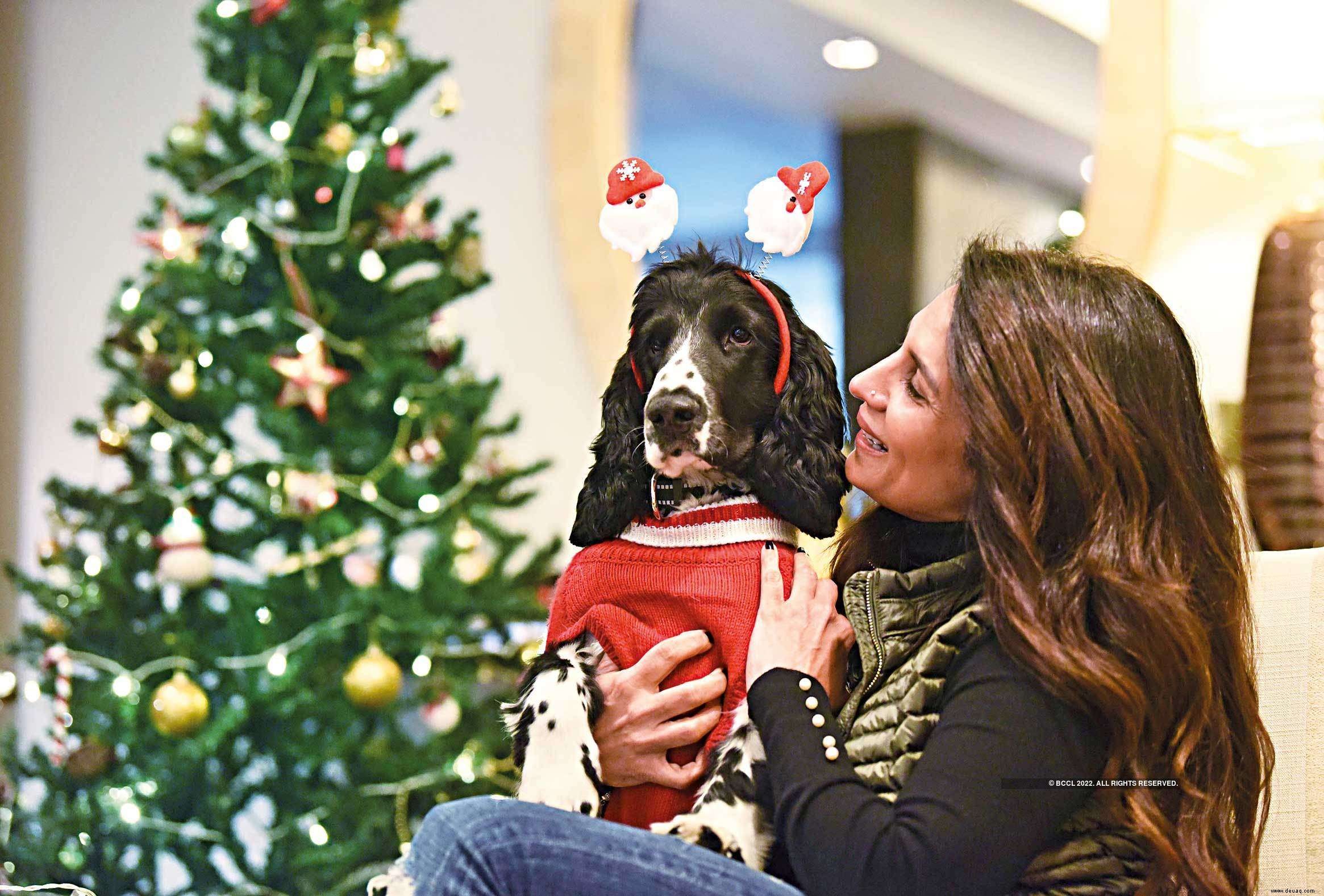 Haustiereltern wollen ihren pelzigen Babys ein fröhliches Weihnachtsfest bereiten 