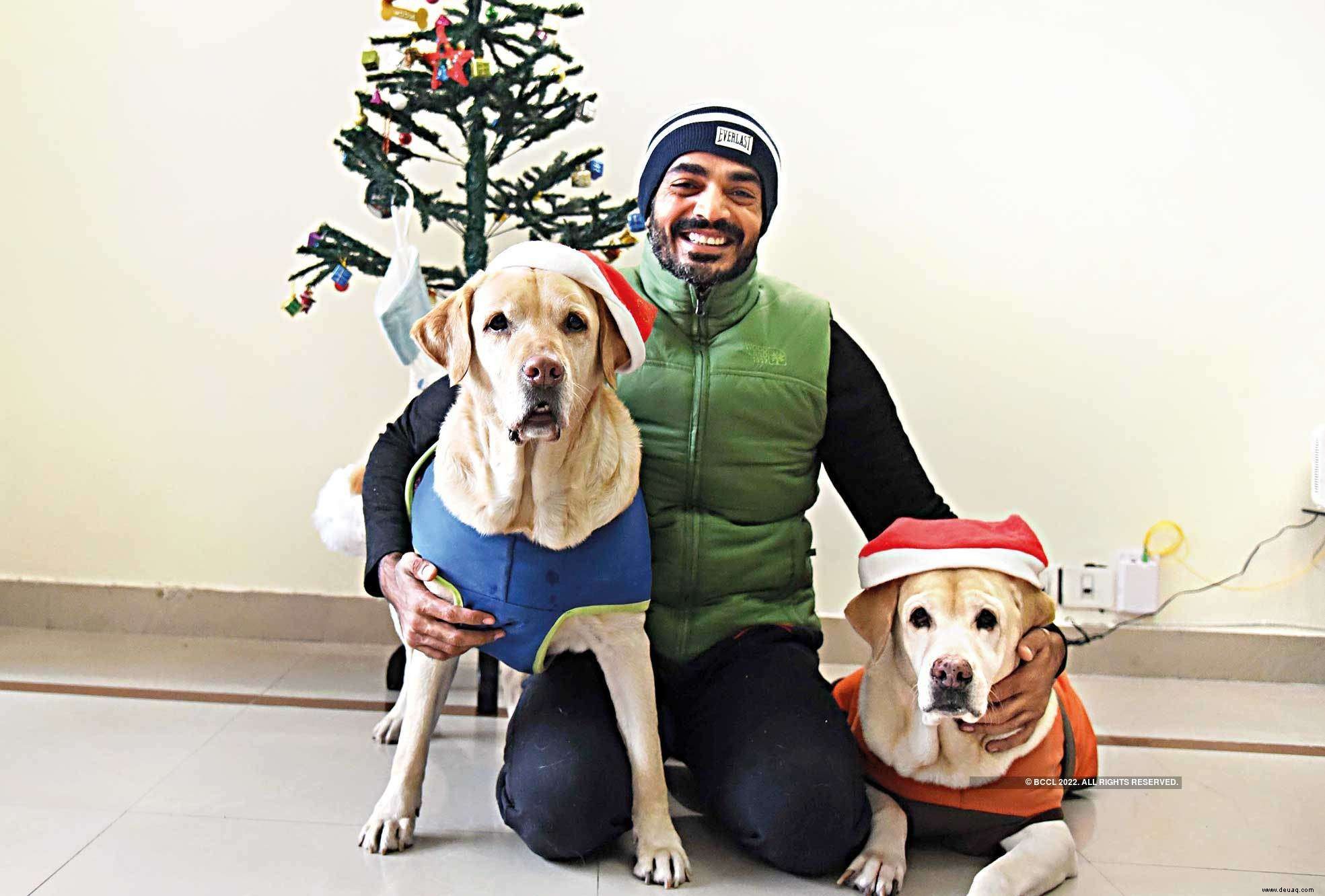 Haustiereltern wollen ihren pelzigen Babys ein fröhliches Weihnachtsfest bereiten 