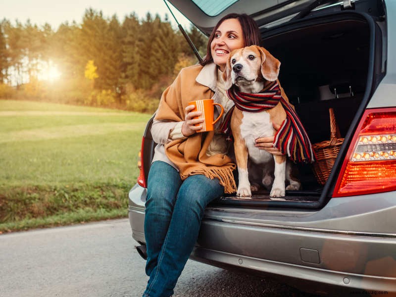 Studie zeigt, dass Ihre Haustiere das von Ihnen gewählte Auto beeinflussen 
