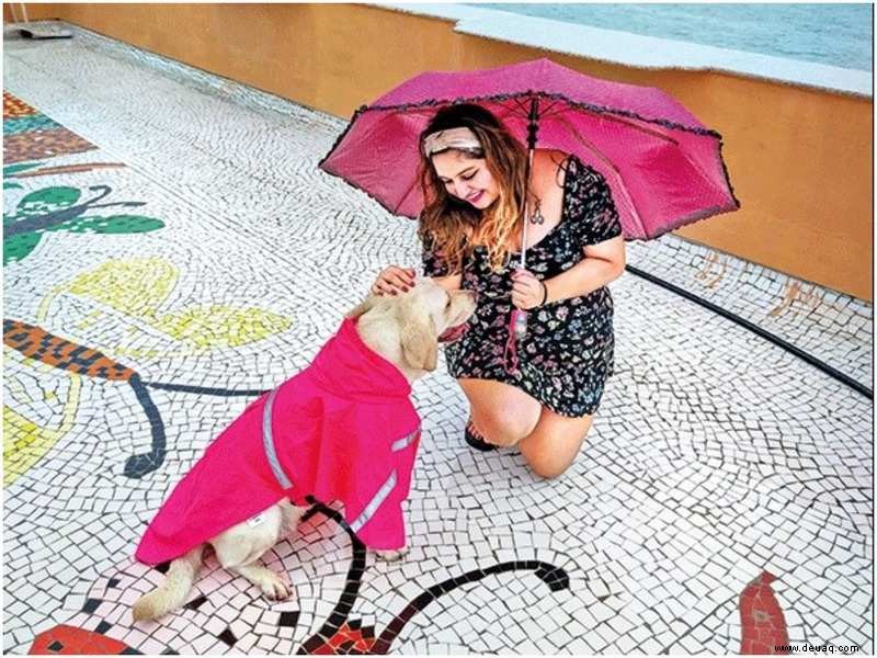 Mumbais Haustiere strecken ihre stylischen Pfoten in den Regen 