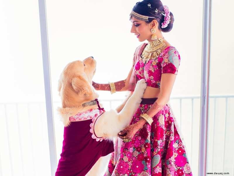 Hunde &D-Day:So integrieren Sie Ihr Haustier in Ihre Hochzeit 