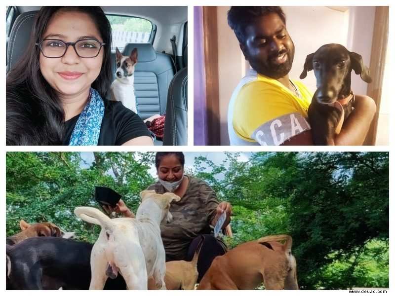 Indianer bringen indische Doggos als ihre Lockdown-Begleiter nach Hause 