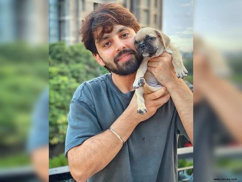 Mit Ihrem pelzigen Baby zu sprechen, ist ziemlich therapeutisch, sagt Himansh Kohli, der kürzlich einen Hund nach Hause gebracht hat – Donut 