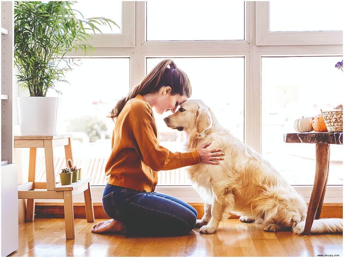 #PetParenting:Wie man mit Trennungsangst umgeht 