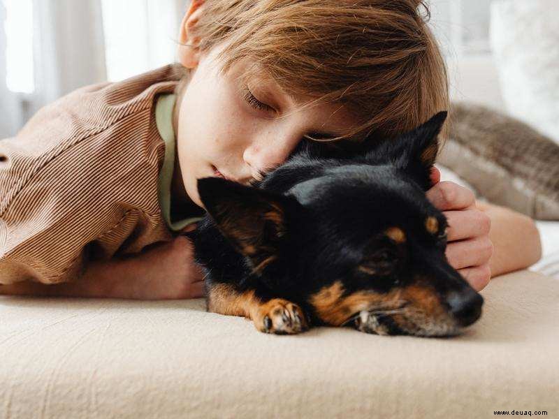 Studie:Haustiere helfen Ihrem Kind nachts besser zu schlafen! 