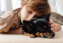 Studie:Haustiere helfen Ihrem Kind nachts besser zu schlafen! 