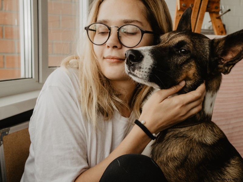 Worauf Sie achten sollten, bevor Sie einen Hund halten 