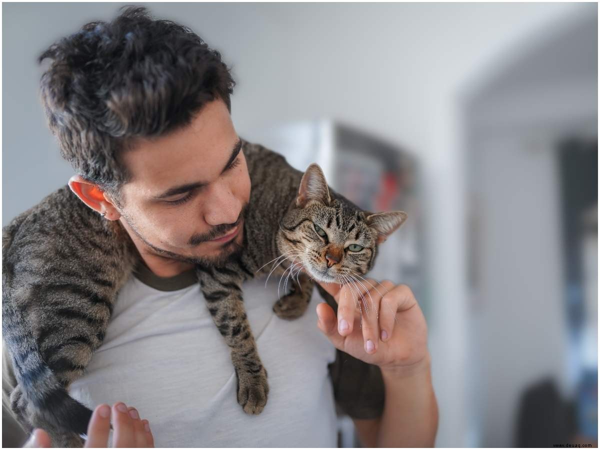 Hündchen helfen Menschen, während einer Pandemie mit Kuscheln gegen den Blues zu kämpfen 