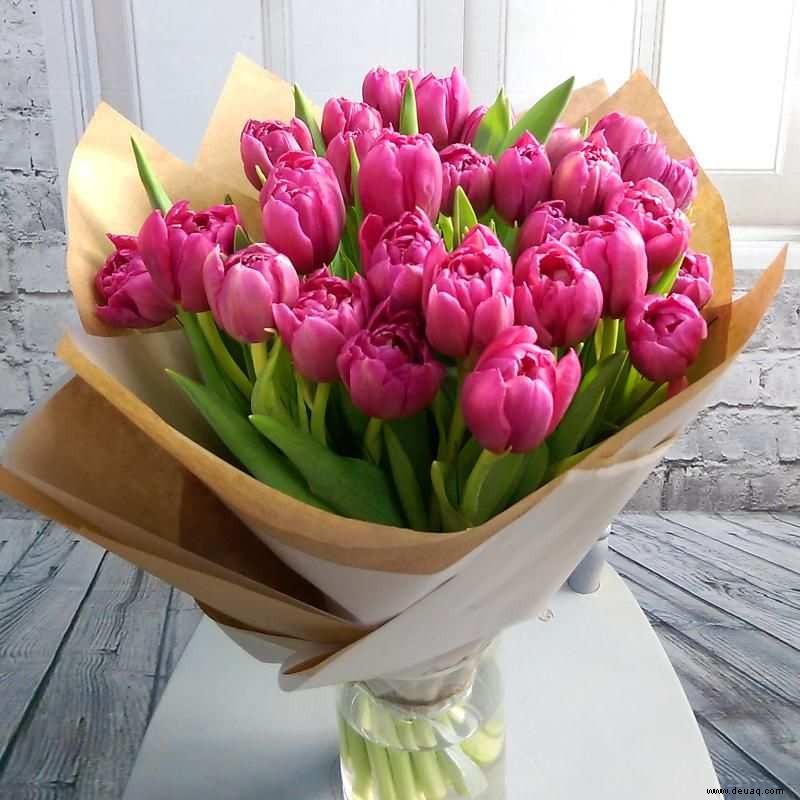 Tulpen, Lilien, Narzissen, Schwertlilien:Halten Sie Ihre Haustiere von diesen Blumen fern 
