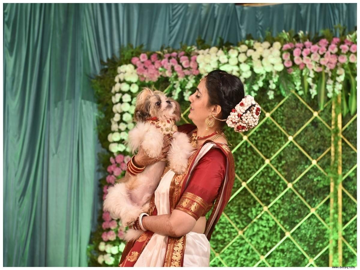 Haustiere sorgen für ultra-glamouröse Baraatis bei Desi-Hochzeiten 