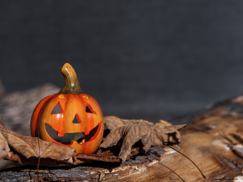 Golu Sundal Vs. Halloween-Pralinen 