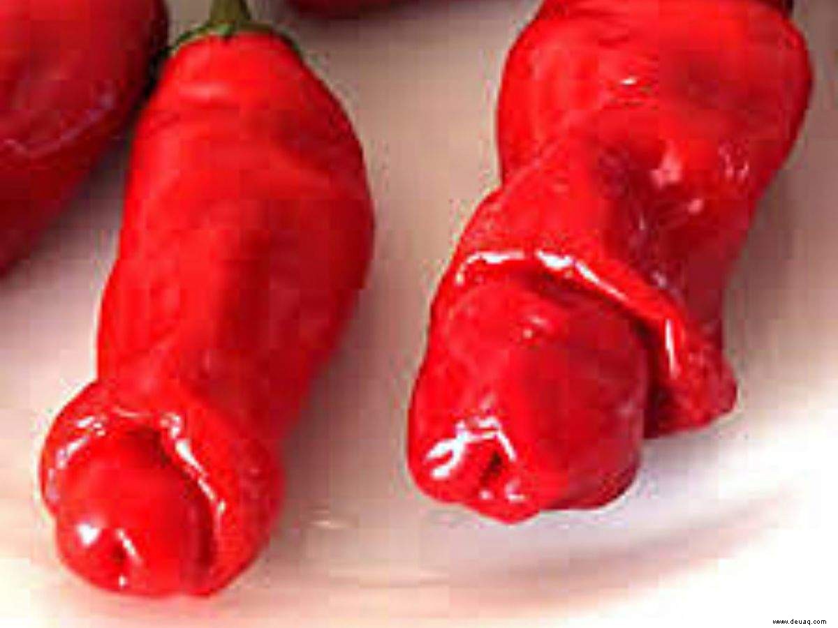 Von Peter’s Peppers bis Naked Man, hier sind die 6 x-bewerteten Blumen der Welt 