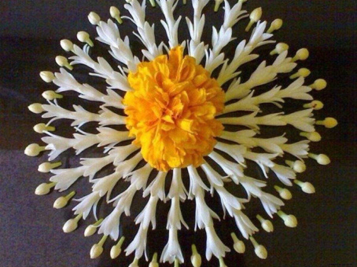 Diwali-Rangoli-Designs:Hier sind 10 einzigartige Blumen-Rangoli-Designs, um dieses Diwali auszuprobieren 