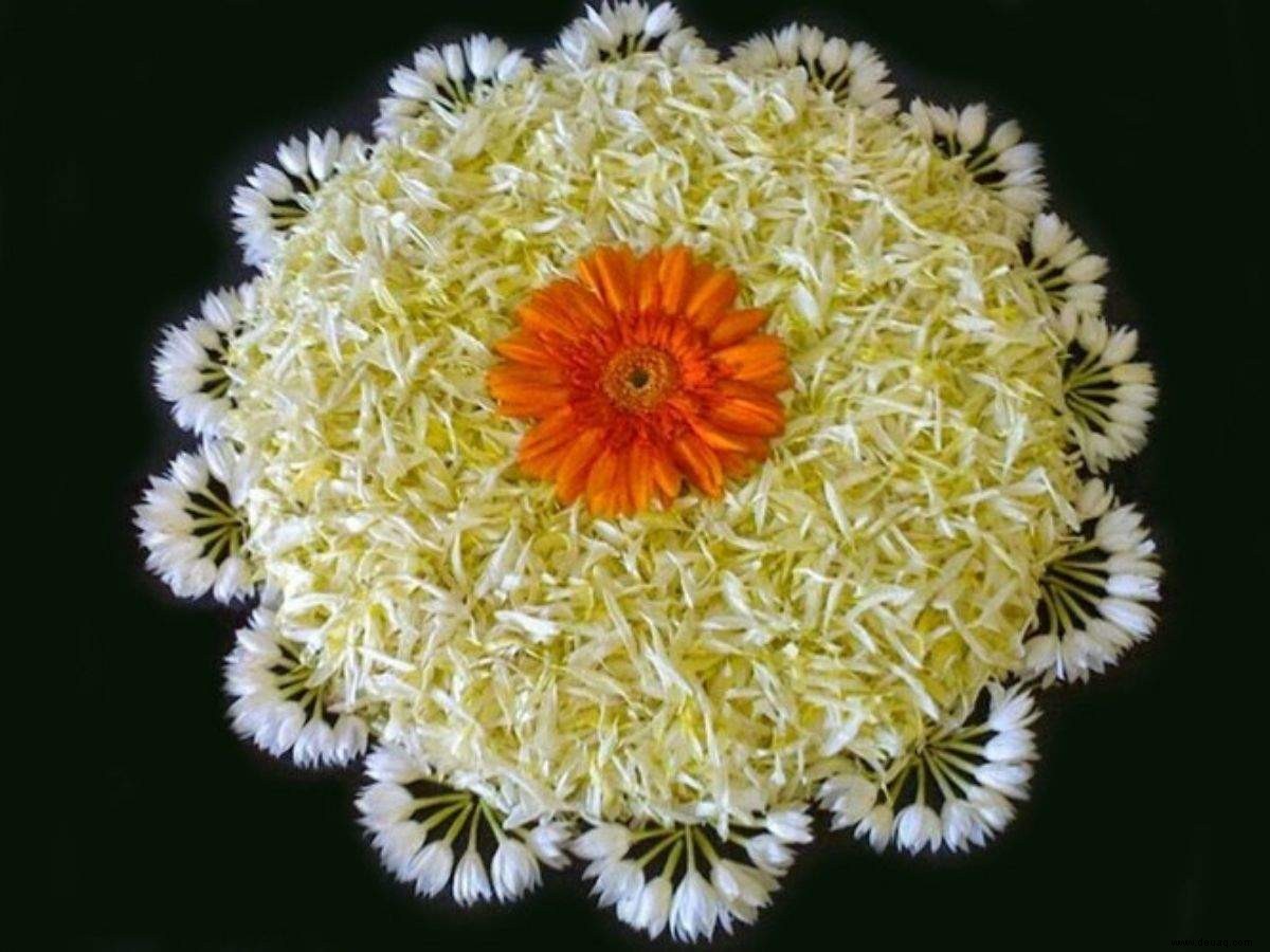 Diwali-Rangoli-Designs:Hier sind 10 einzigartige Blumen-Rangoli-Designs, um dieses Diwali auszuprobieren 